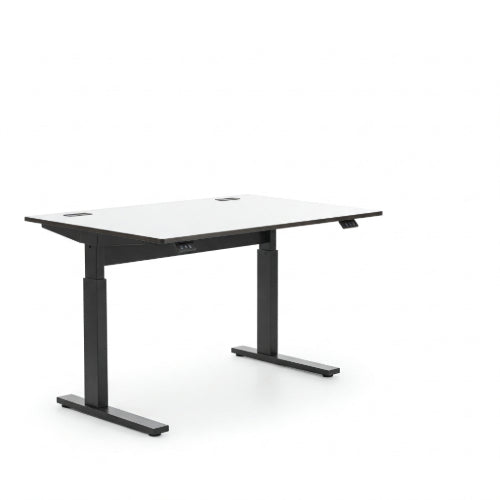 Rise Up and Thrive: Why a Sit/Stand Desk Is Essential for Productivity and Health