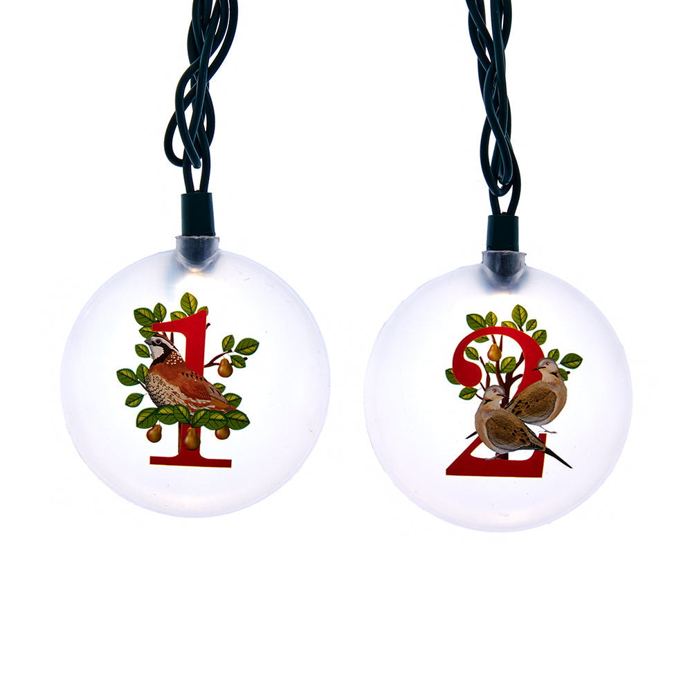 12 Days Of Christmas Light Set - 32 Feet Long