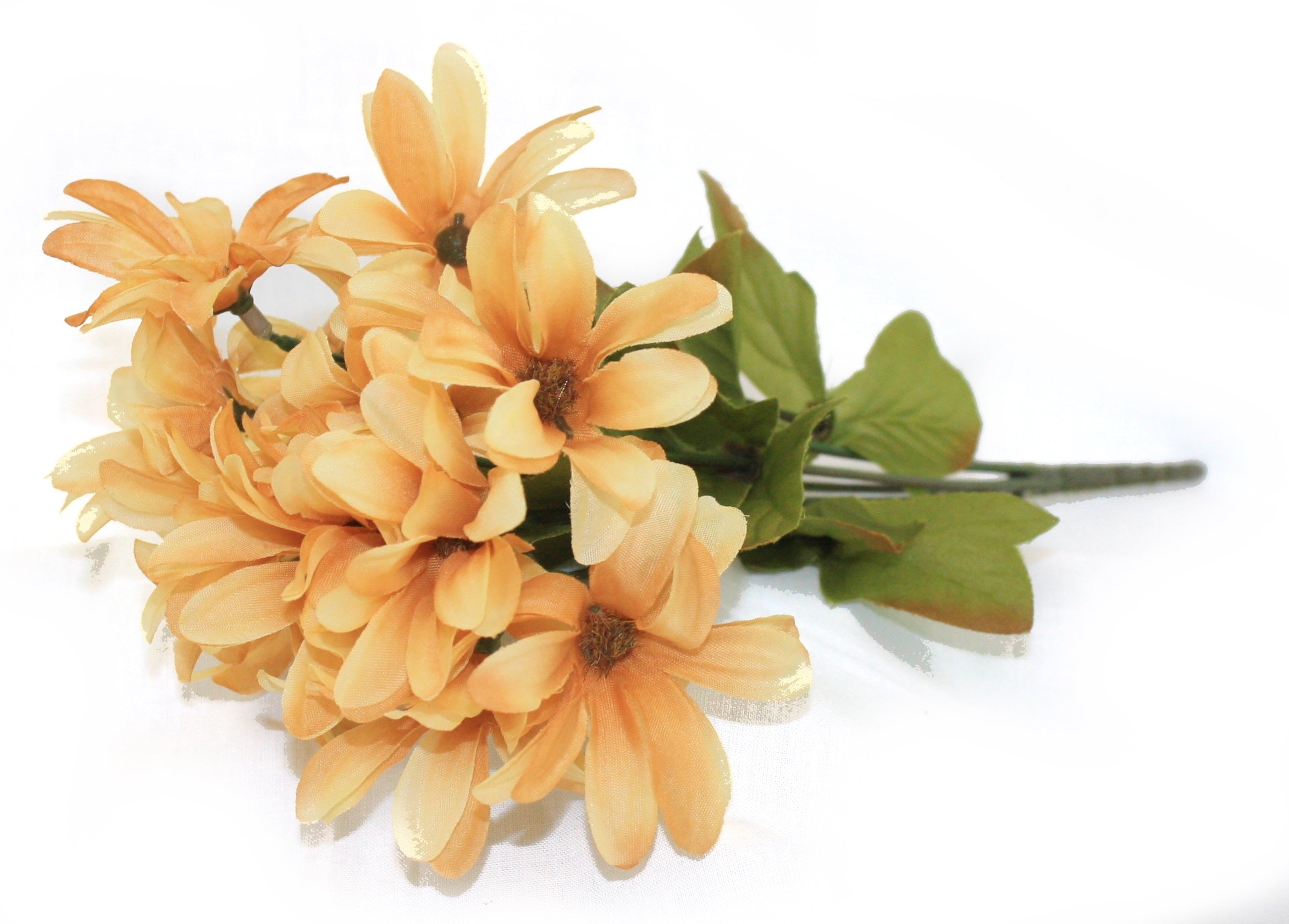 12.5" Daisy Bush x 6