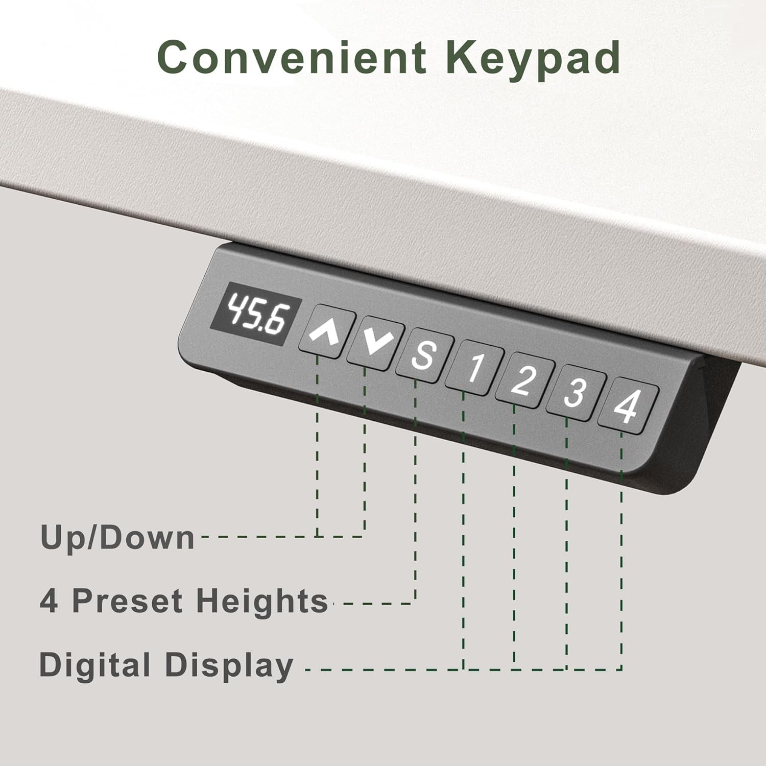 48-Inch White Electric Standing Desk With One-Piece Desktop