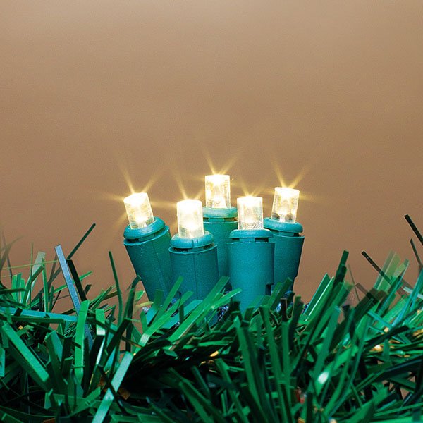 60 Indoor/Outdoor LED String LIght - Warm White - Green Wire