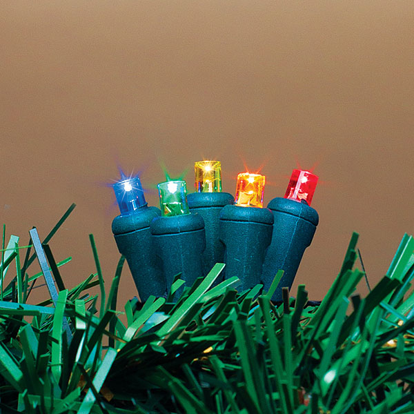 60 Indoor/Outdoor LED String Light - Multi Color - Green Wire