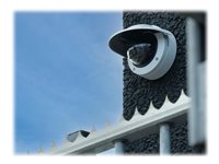 AXIS M3216-Lve Surveillance Camera - Color - Dome