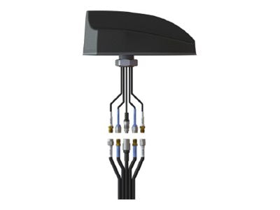 Airgain EZConnect - Antenna extension cable - TNC (M) - 19 ft - coaxial - LMR-195 CH-CWG-4-4-4-19