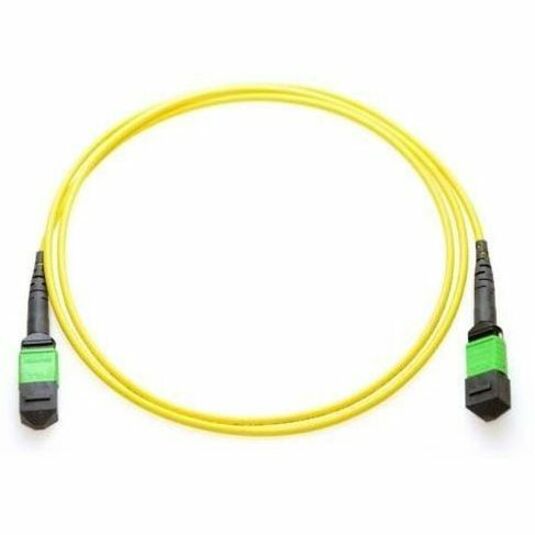 Axiom MPO Female to MPO Male Singlemode 9/125 Fiber Cable 50m - TAA Compliant - 164.04 ft