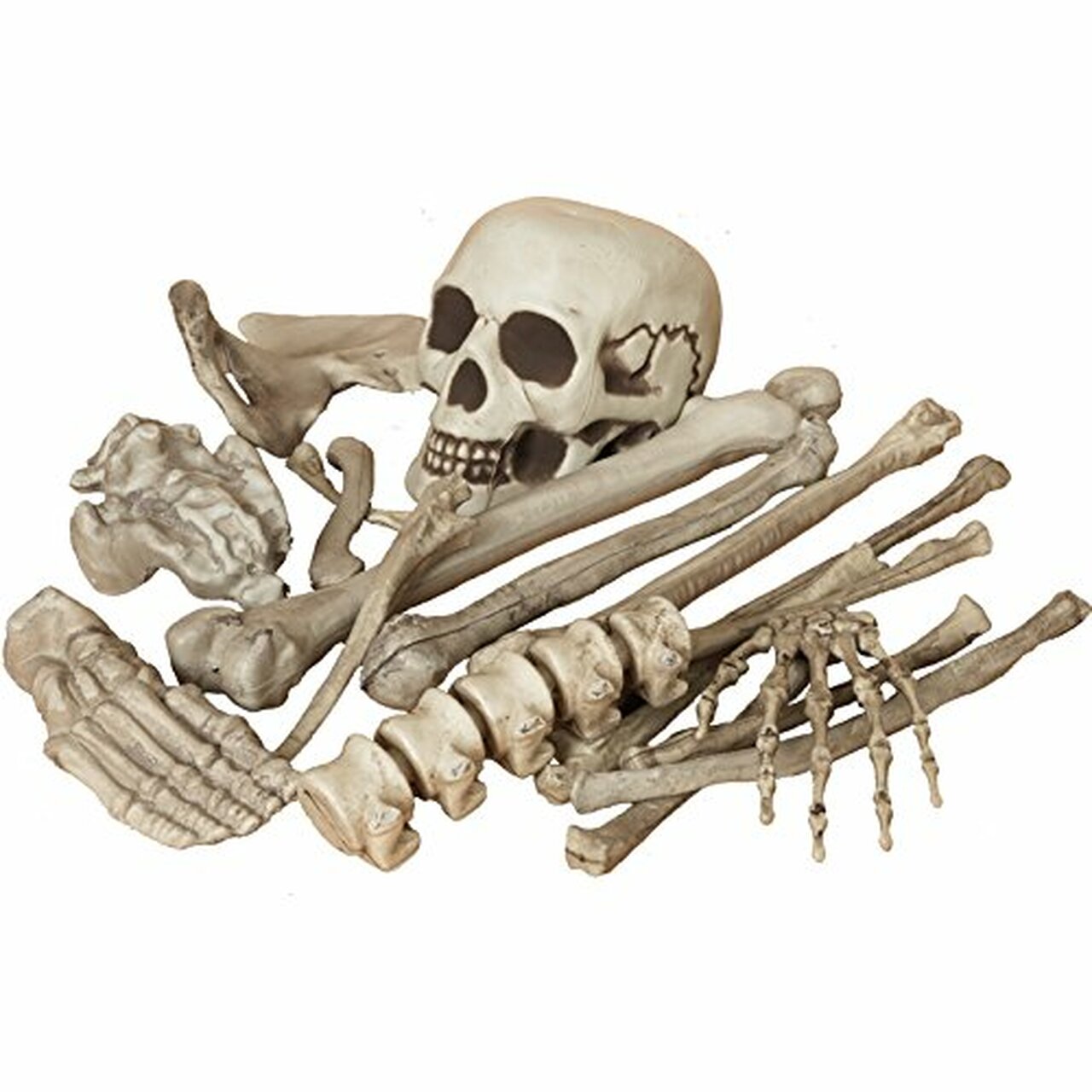 Bag of Skeleton Bones - 18 Piece