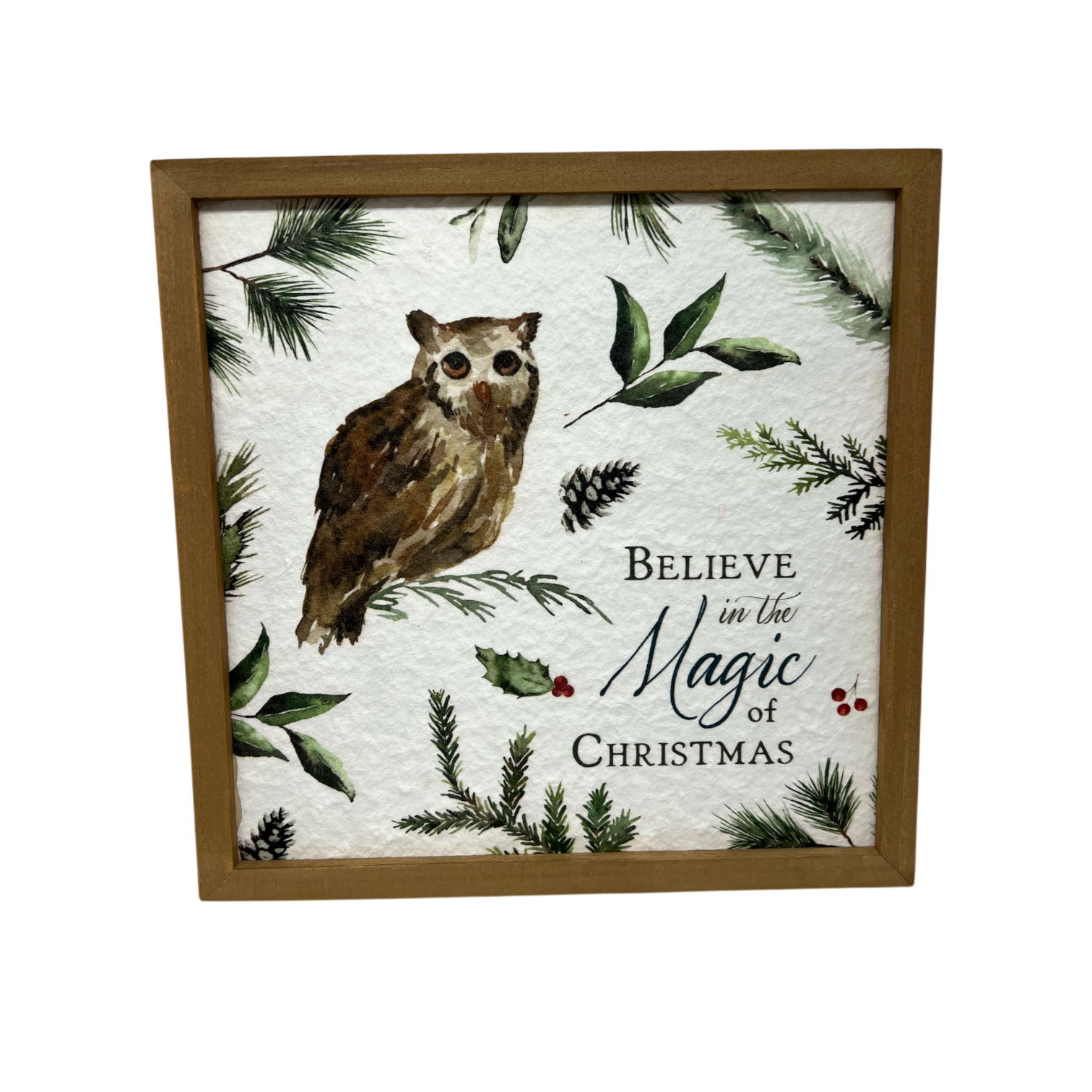 Believe In The Magic of Christmas Print