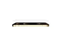 Belkin TemperedGlass Treated Screen Protector for iPhone 12 Pro Max OVA023ZZ
