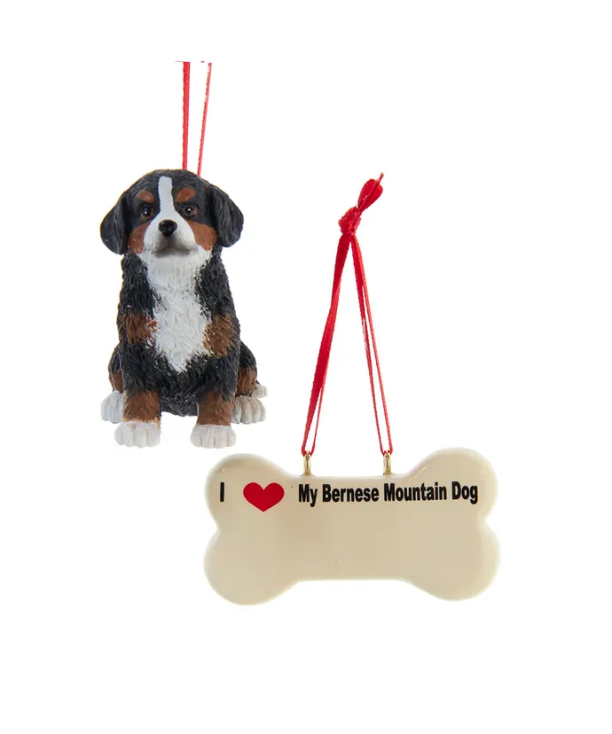 Bernese Mountain Dog With Dog Bone Ornament Set