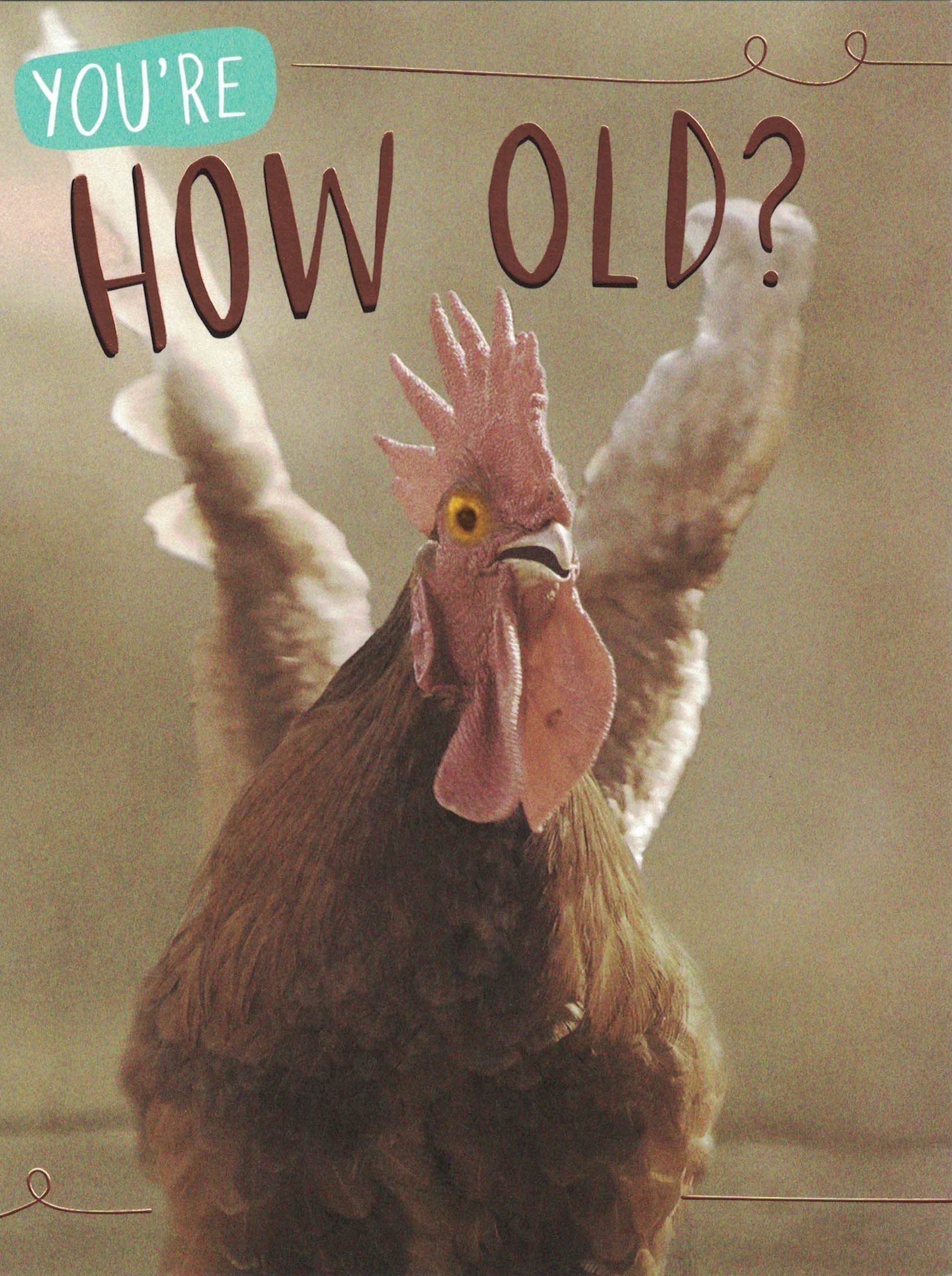 Birthday Card - Clucking Birthday