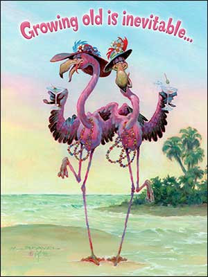 Birthday Card - Flamingos