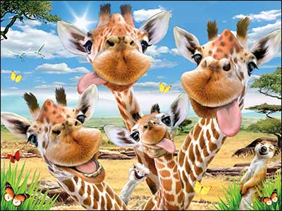 Birthday Card - Giraffe Selfie