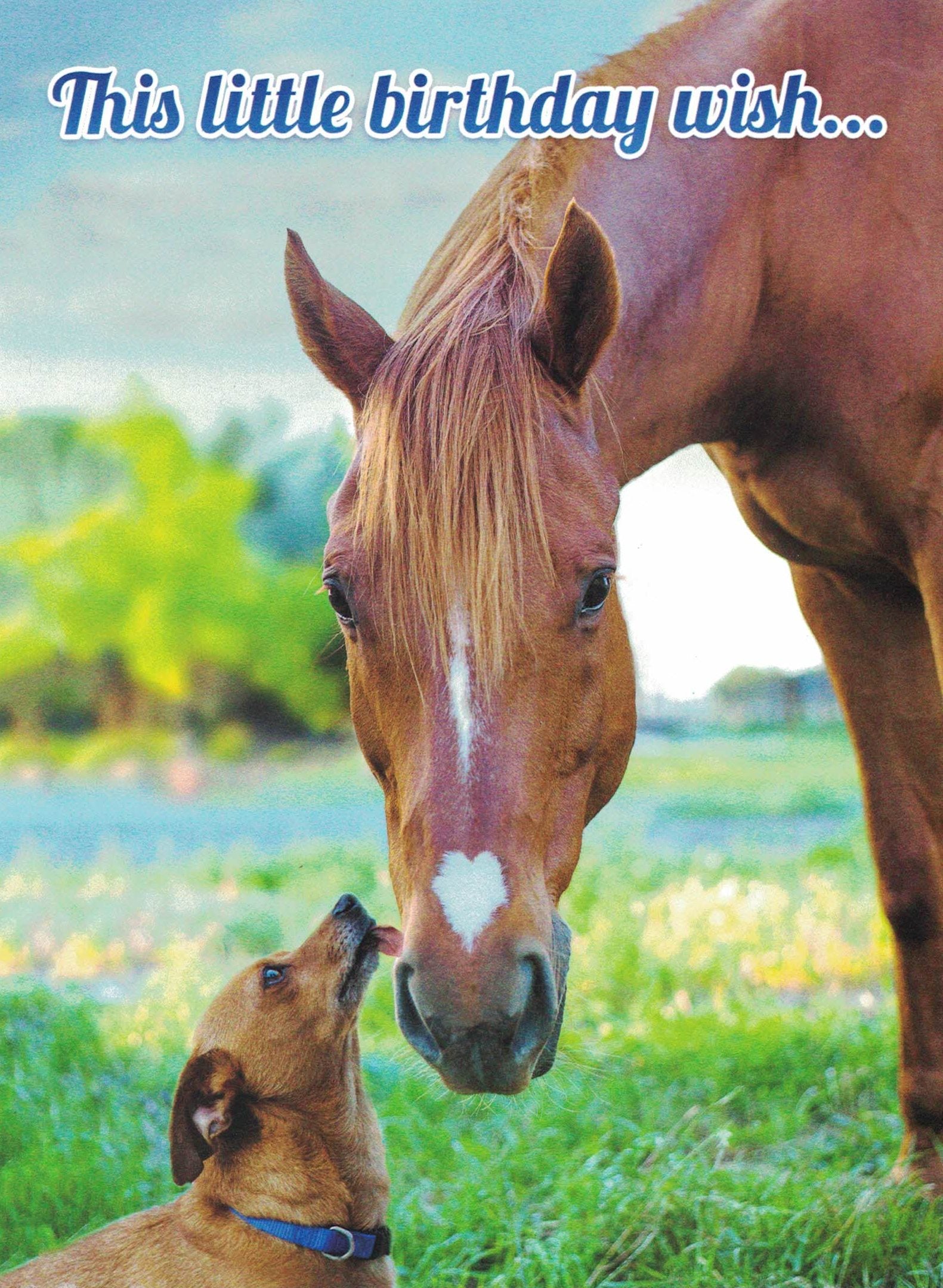 Birthday Card - Horse Birthday Wish