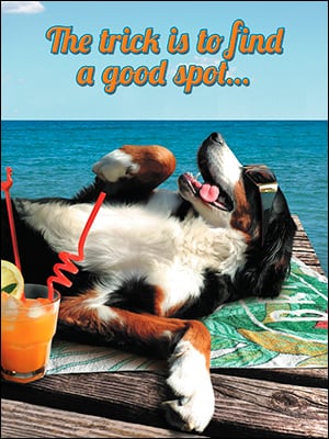 Birthday Card -Let Everyone Else Do The Fetching