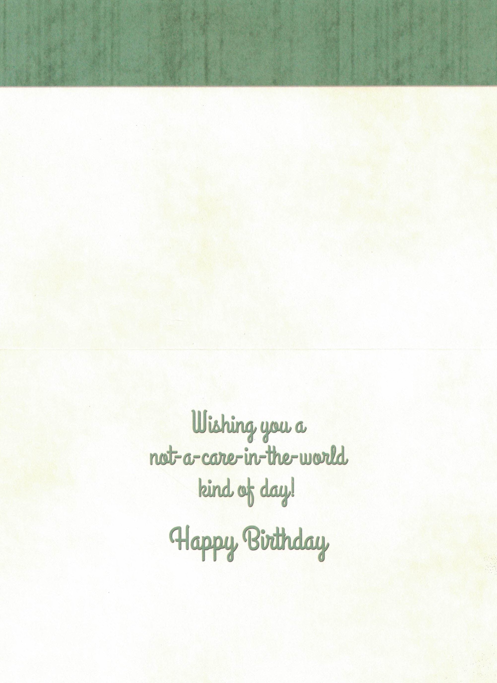 Birthday Card - Not A Care In The World