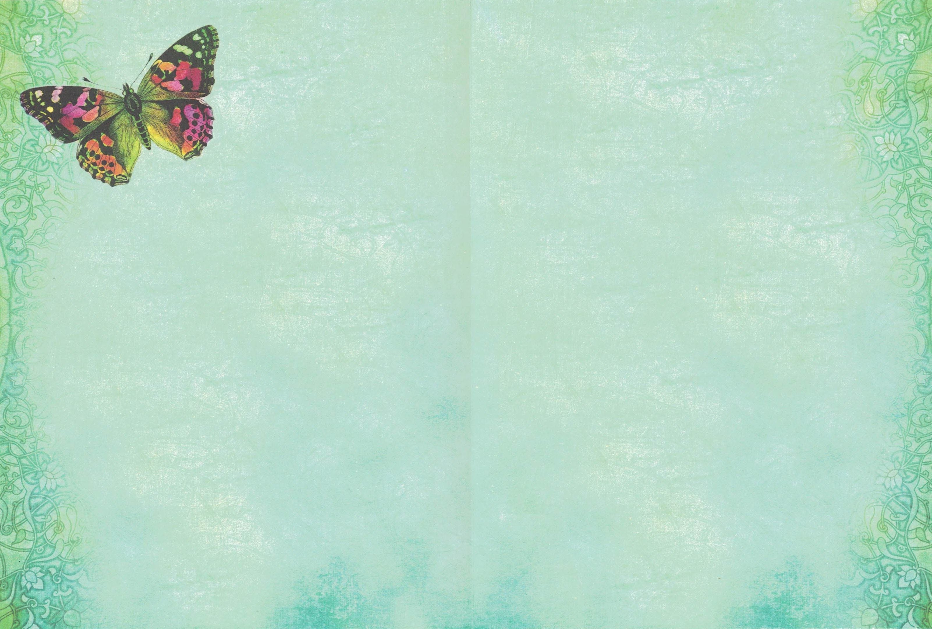 Blank Card - Butterfly Trio