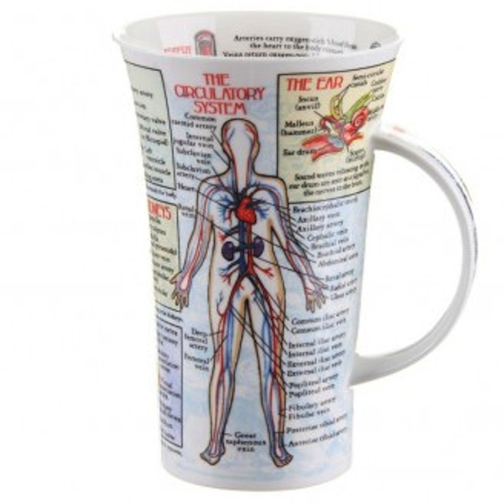 Body Works Fine Bone China Mug Glencoe Style By Dunoon