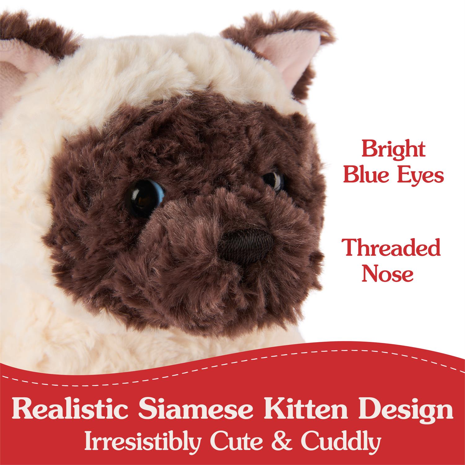 Bootsie Siamese Kitten