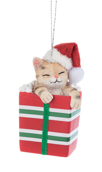 Comfy & Cozy Pet Ornament - American Shorthair Cat