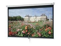 Da-Lite Deluxe Model B - Projection screen - 1:1 - Matte White
