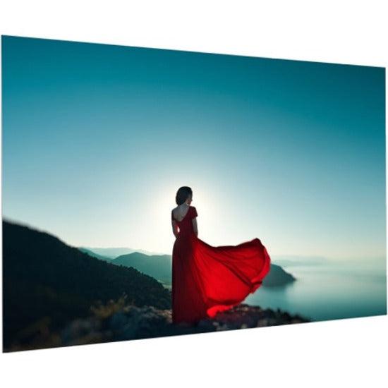 Da-Lite FullVision 164" Fixed Frame Projection Screen