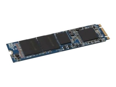 Dell - Customer Kit - SSD - 960 GB - hot-swap - 2.5 - SATA 6Gb/s - for PowerEdge C6420 (2.5")"