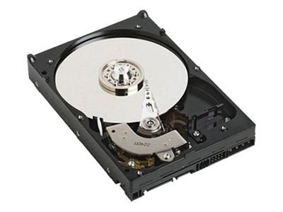 Dell - Hard drive - 1 TB - internal - SATA 3Gb/s - 7200 rpm