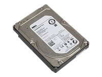 Dell - Hard drive - 2 TB - internal - SATA - 7200 rpm - refurbished