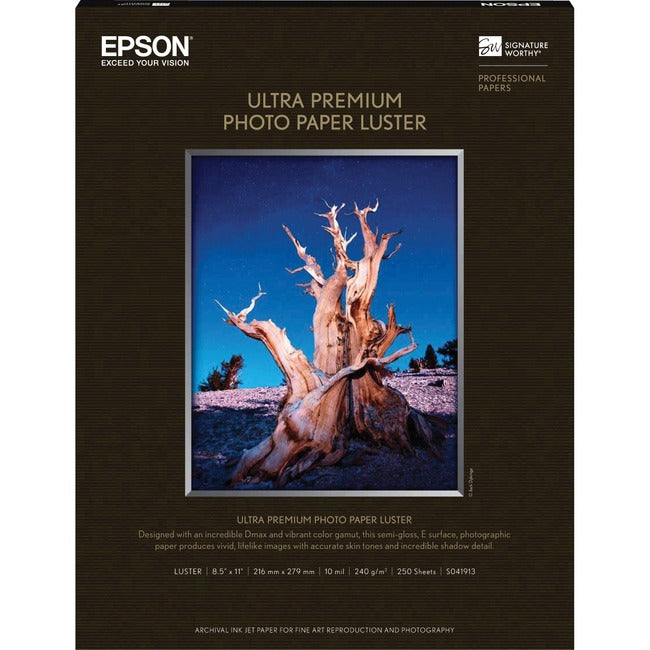 Epson Premium Inkjet Photo Paper S041913