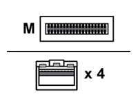 Fortinet Fiber Optic Network Cable FG-TRAN-QSFP-4XSFP