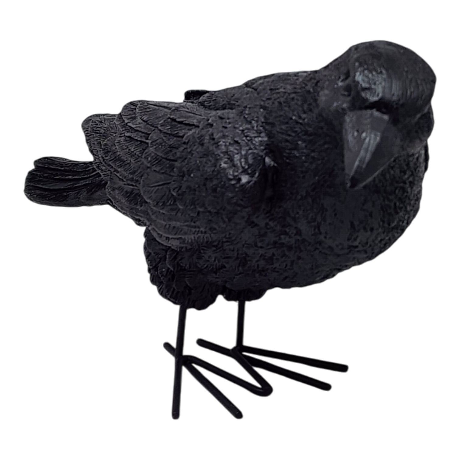 Fright Night Crow - Looking Ahead