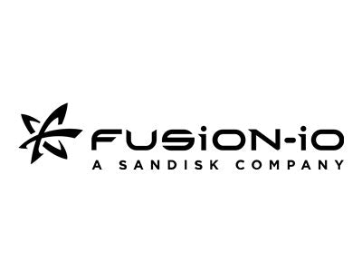 Fusion-io ioMemory3 SX (Not Sold Standalone) - SSD - 1.6 TB - internal