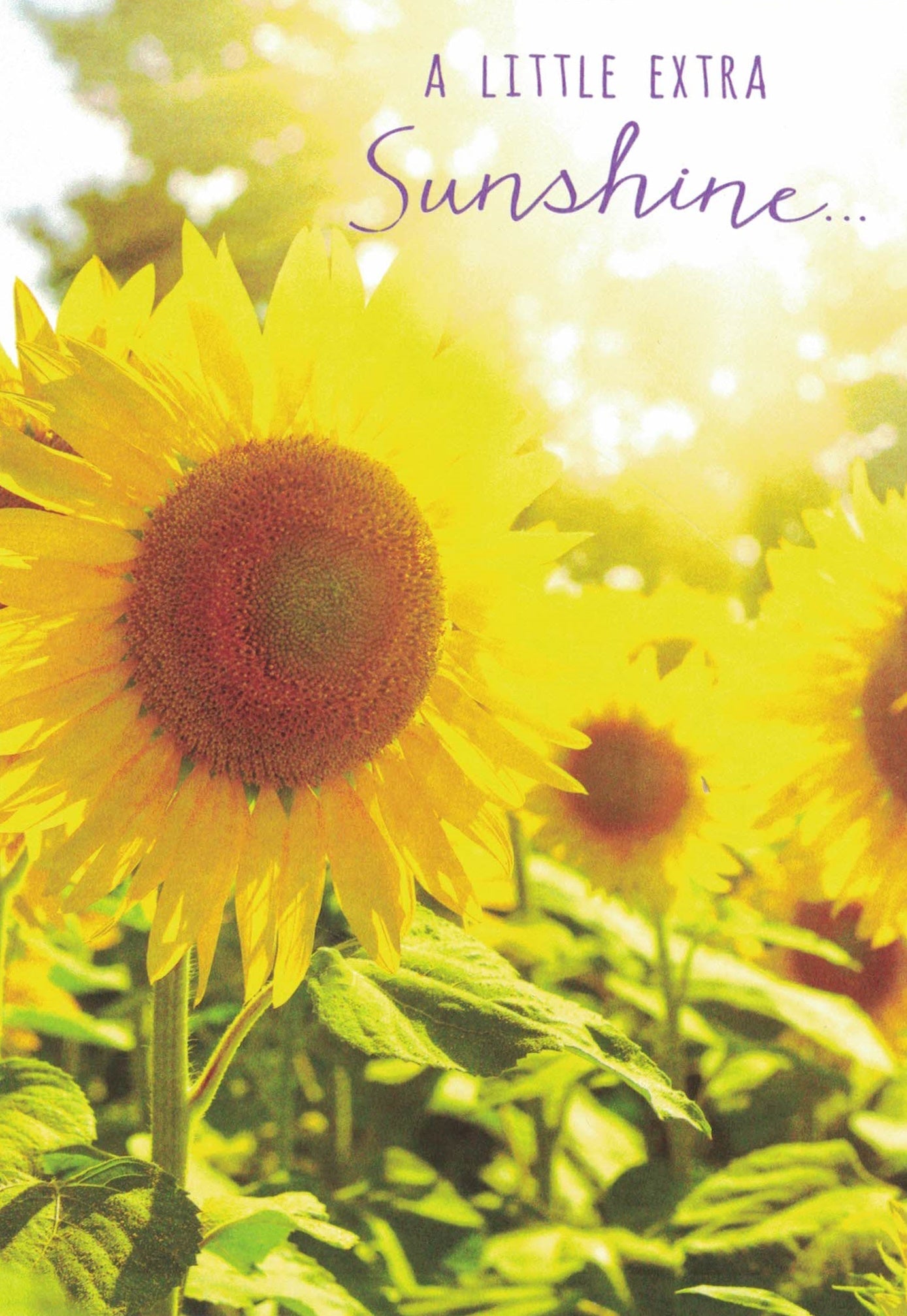 Get Well Card - A little Extra Sunshine