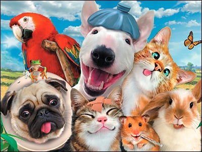 Get Well Card - Get Well Selfie