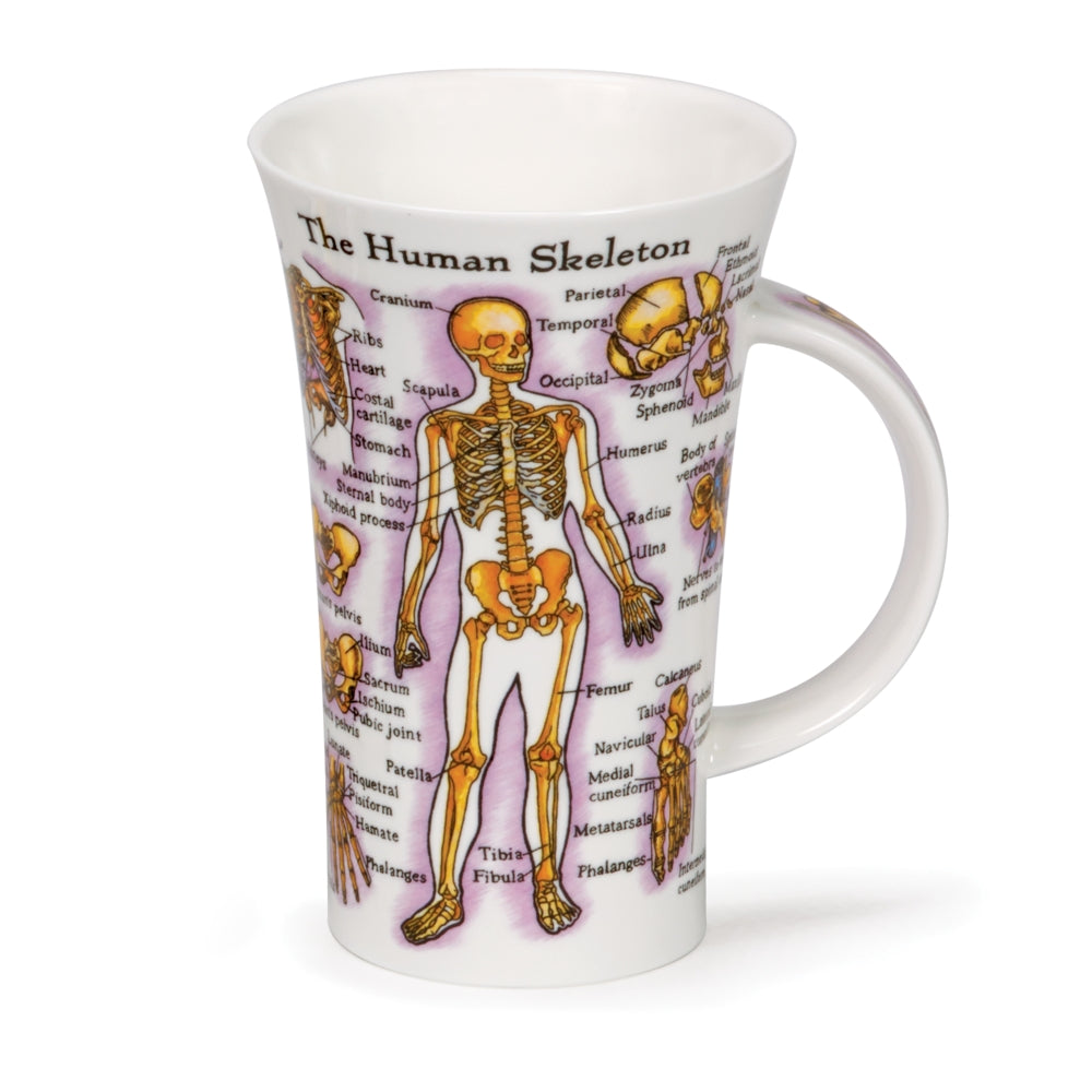 Human Body Fine Bone China Mug Glencoe Style By Dunoon