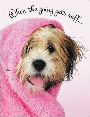 Inspirational Card - When the Going gets Ruff