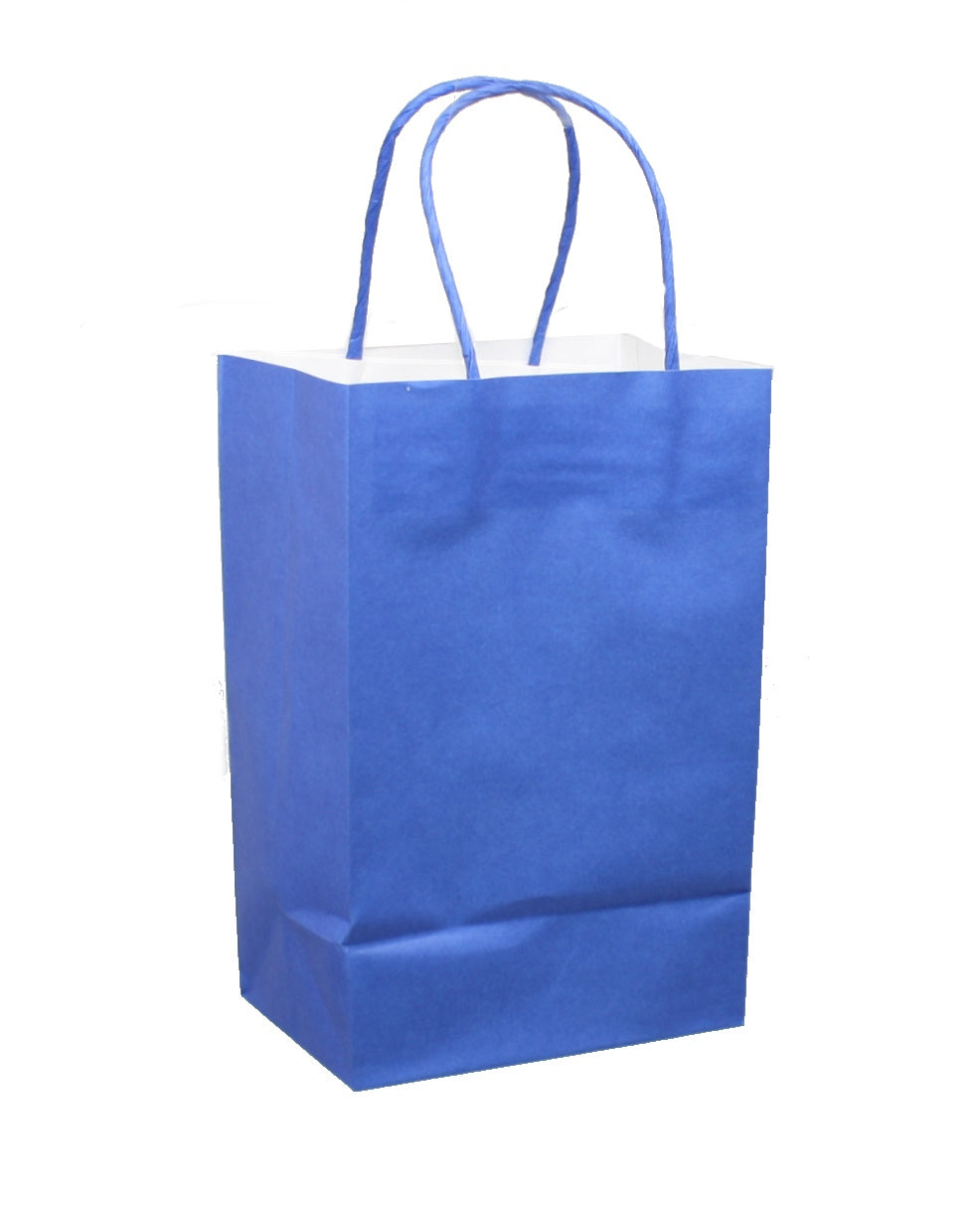 Junior Cub Primary Color Kraft Gift Bag Set of 8