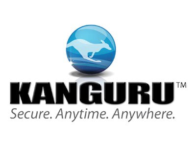 Kanguru Defender - SSD - encrypted - 500 GB - internal - M.2 2280 - PCIe 3.0 x4 (NVMe) - 256-bit AES, FIPS 140-2 Level 2, FIPS CIG-KSED300-NV-500G