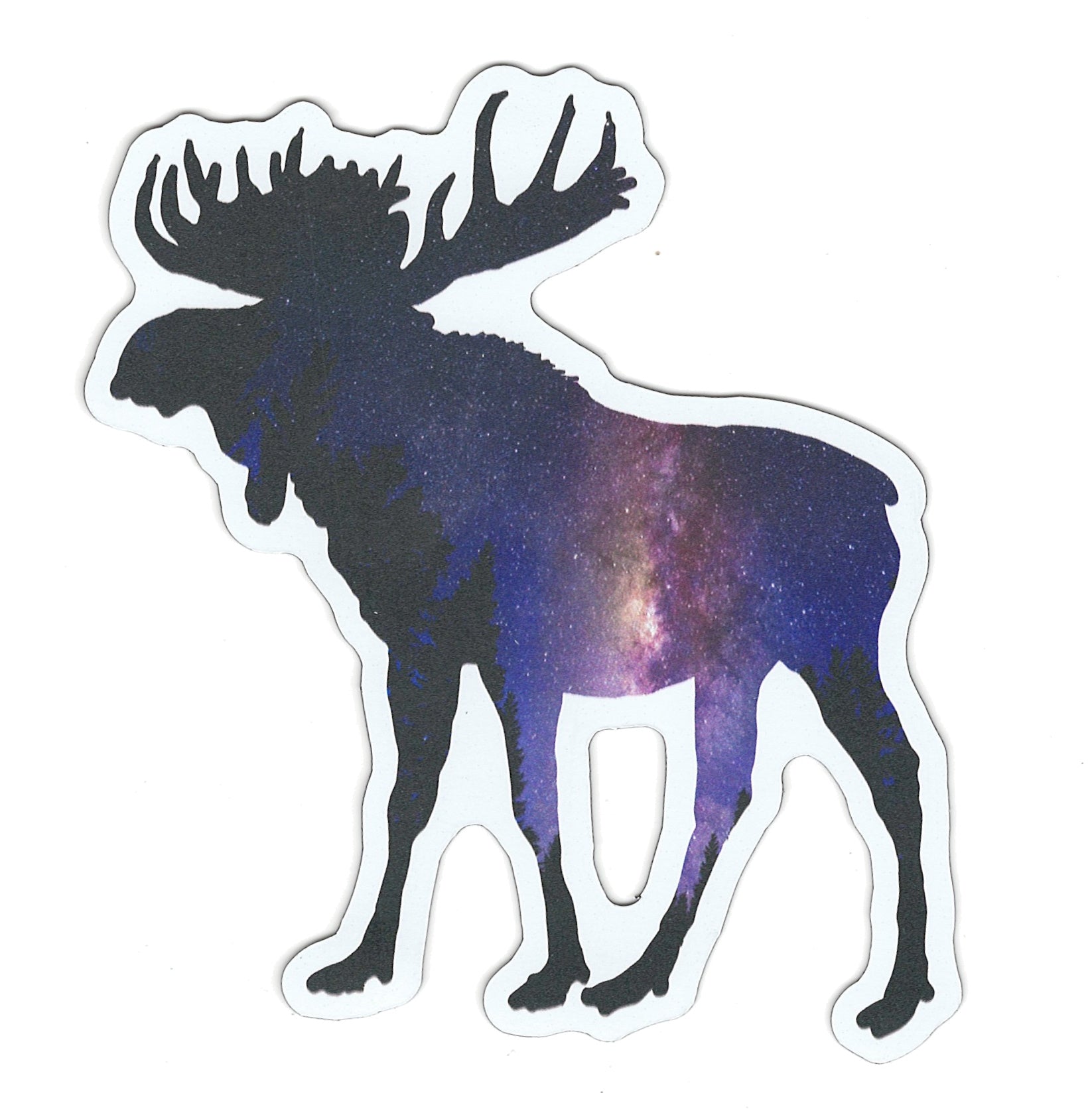 Large Flex Magnet - Star Gazing Moose