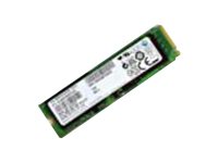 Lenovo ThinkPad 2280 - SSD - encrypted - 256 GB - internal - M.2 Card - TCG Opal Encryption 2.0 - FRU - for ThinkPad X1