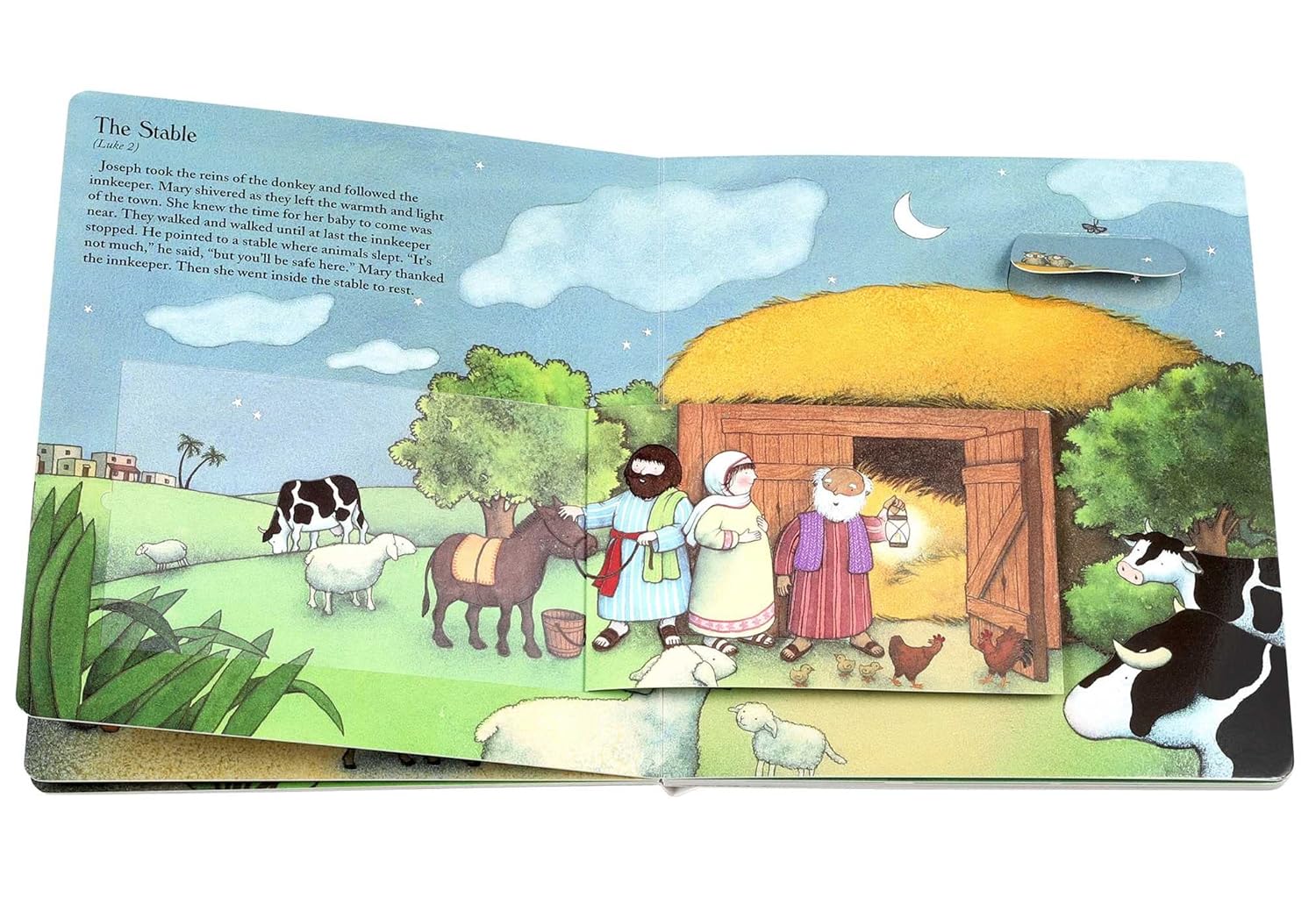 Lift the Flap Nativity Book