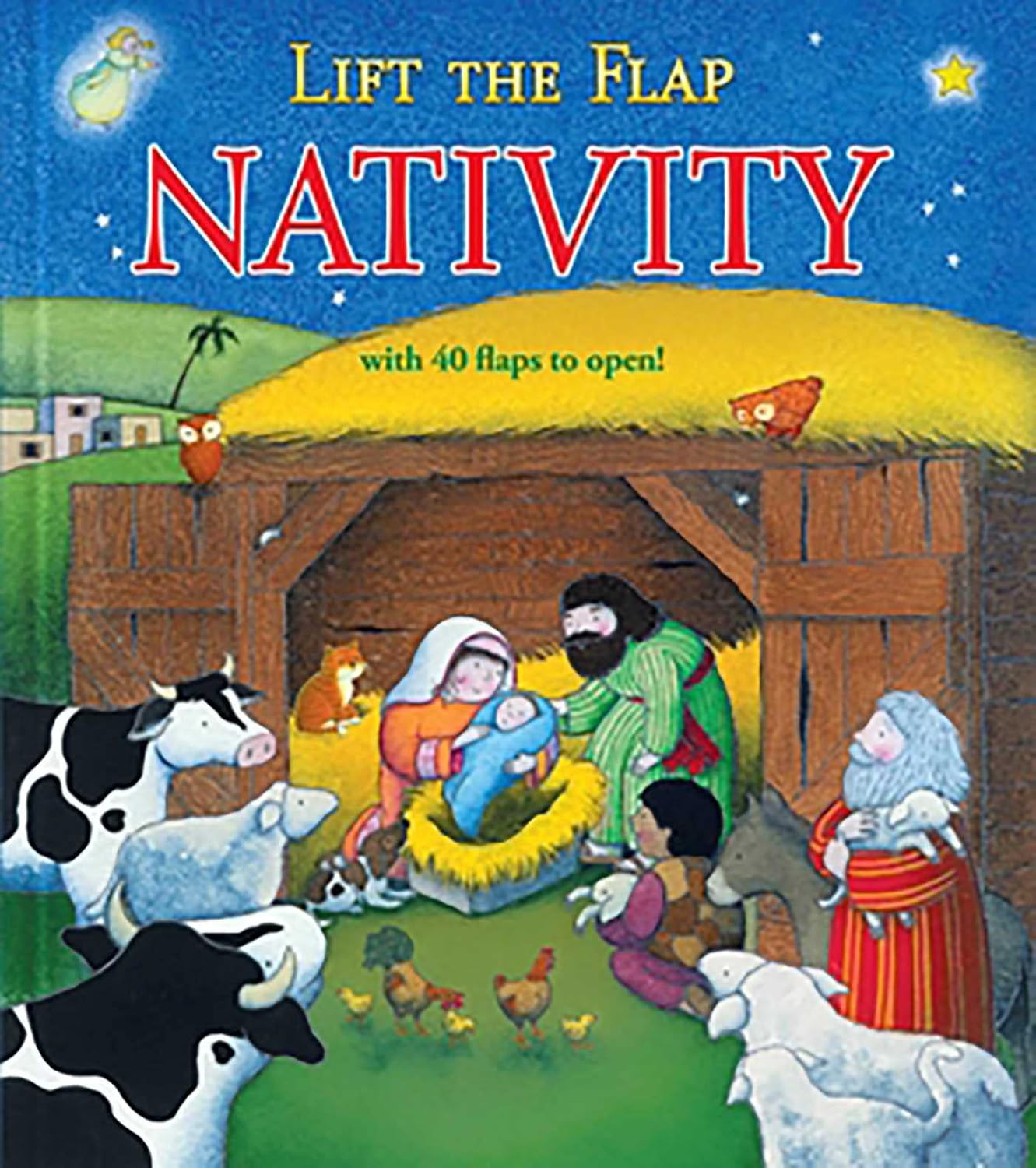 Lift the Flap Nativity Book