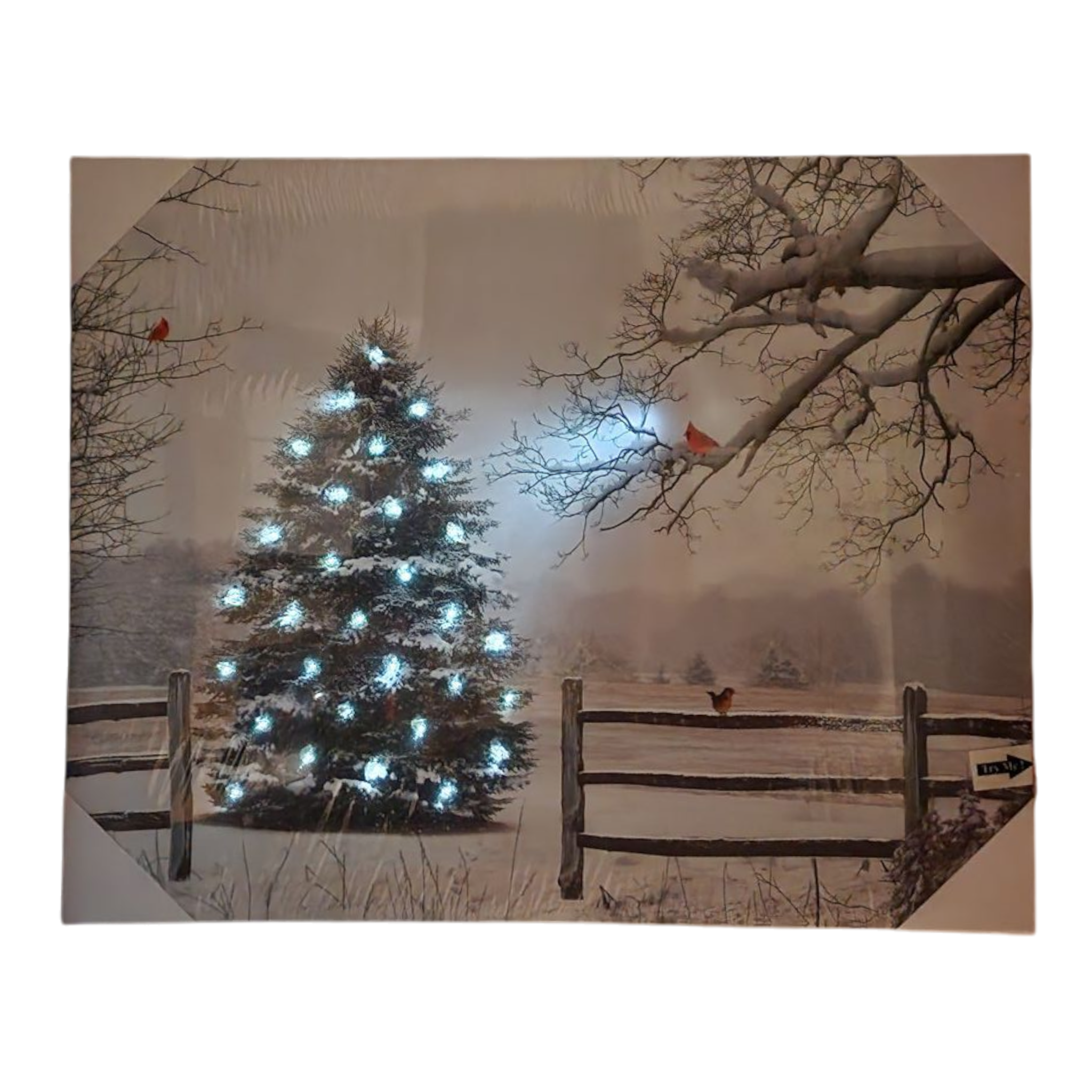 Lighted 16x20 Canvas Print - Christmas in the Meadow