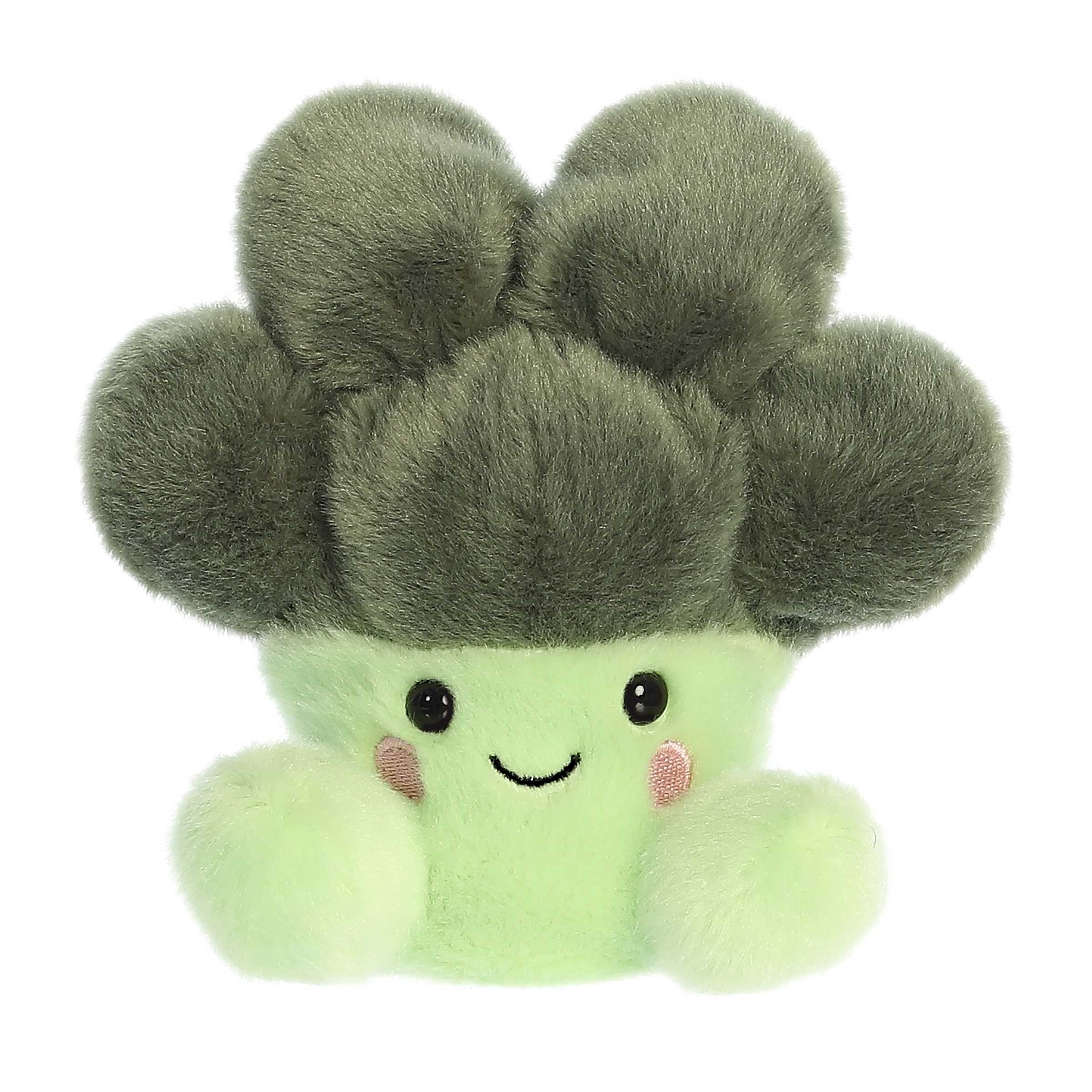 Luigi Broccoli Palm Pal