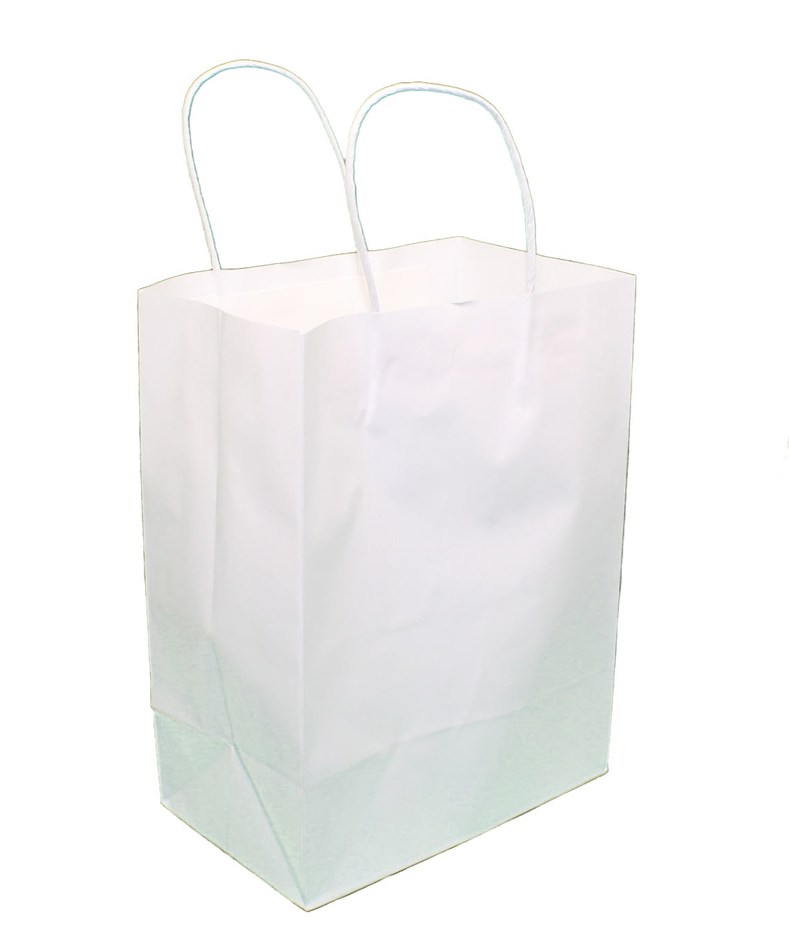 Medium Kraft White Gift Bag Set of 12