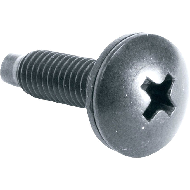 Middle Atlantic 10-32 Rackscrew Truss-Head - 100 Piece
