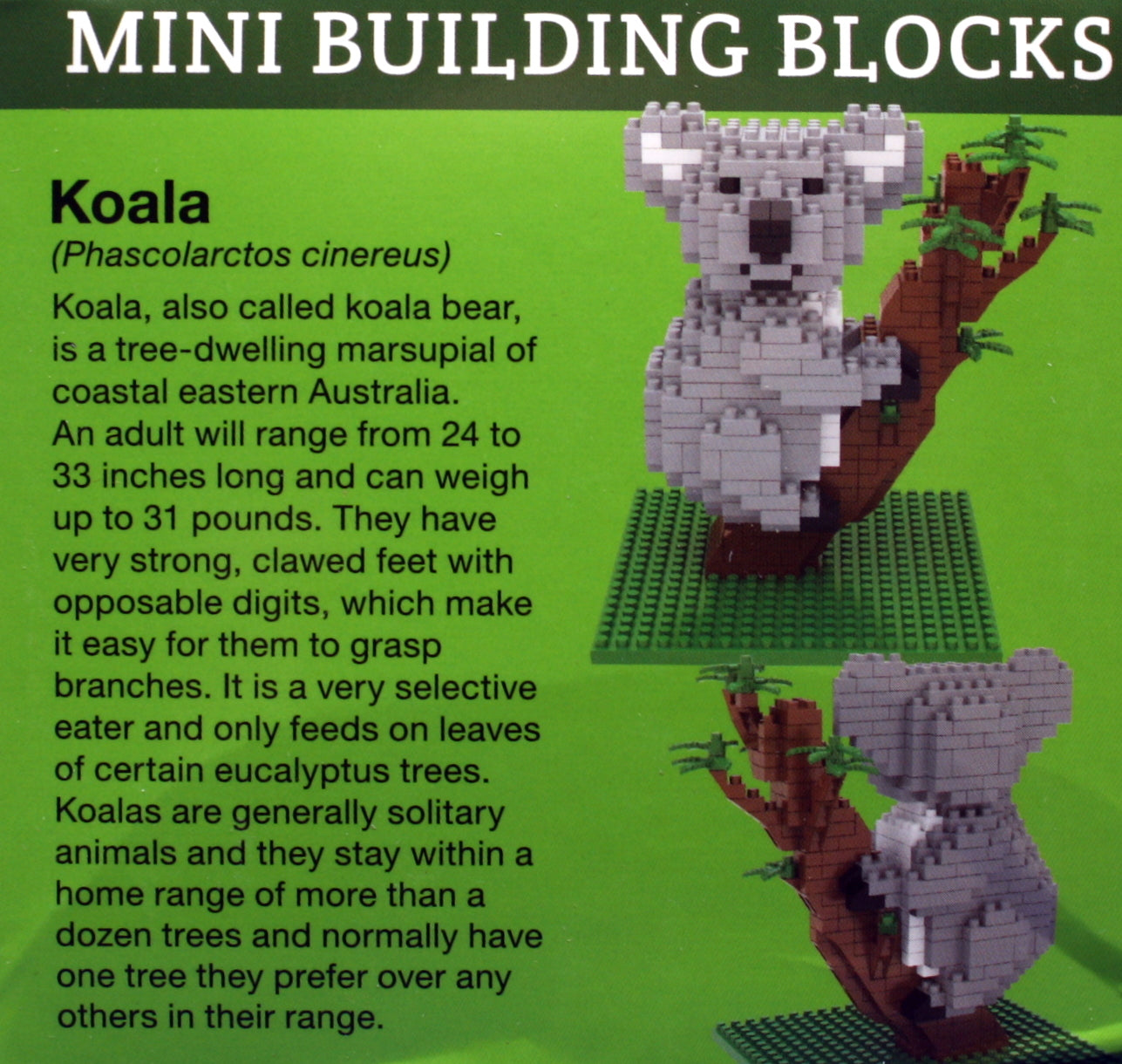 Mini Building Blocks - Koala Bear