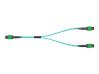 NVIDIA Passive Fiber Cable, MMF , MPO12 APC to 2xMPO12 APC, 20m