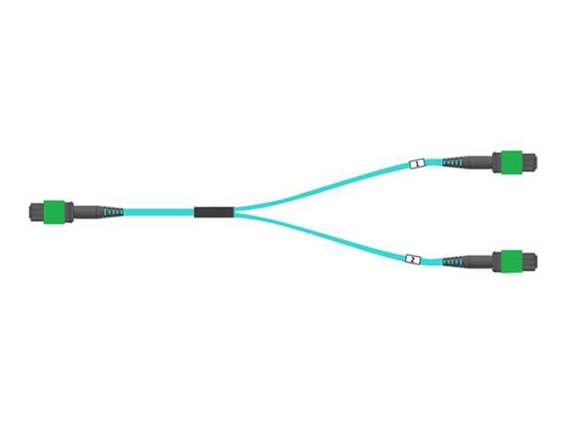 NVIDIA Passive Fiber Cable, MMF , MPO12 APC to 2xMPO12 APC, 20m