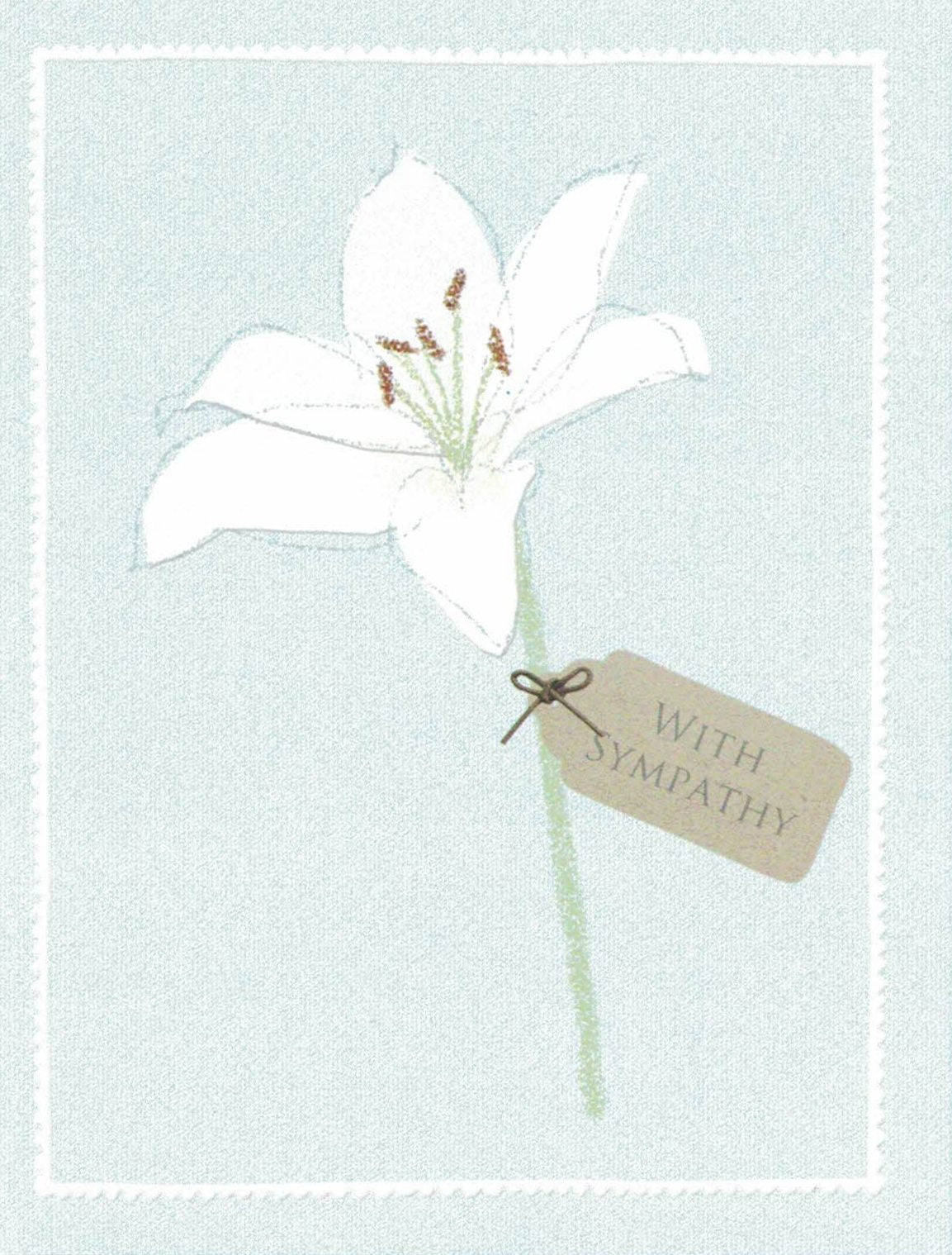 Notion Card - Sympathy Card: Single White Lily